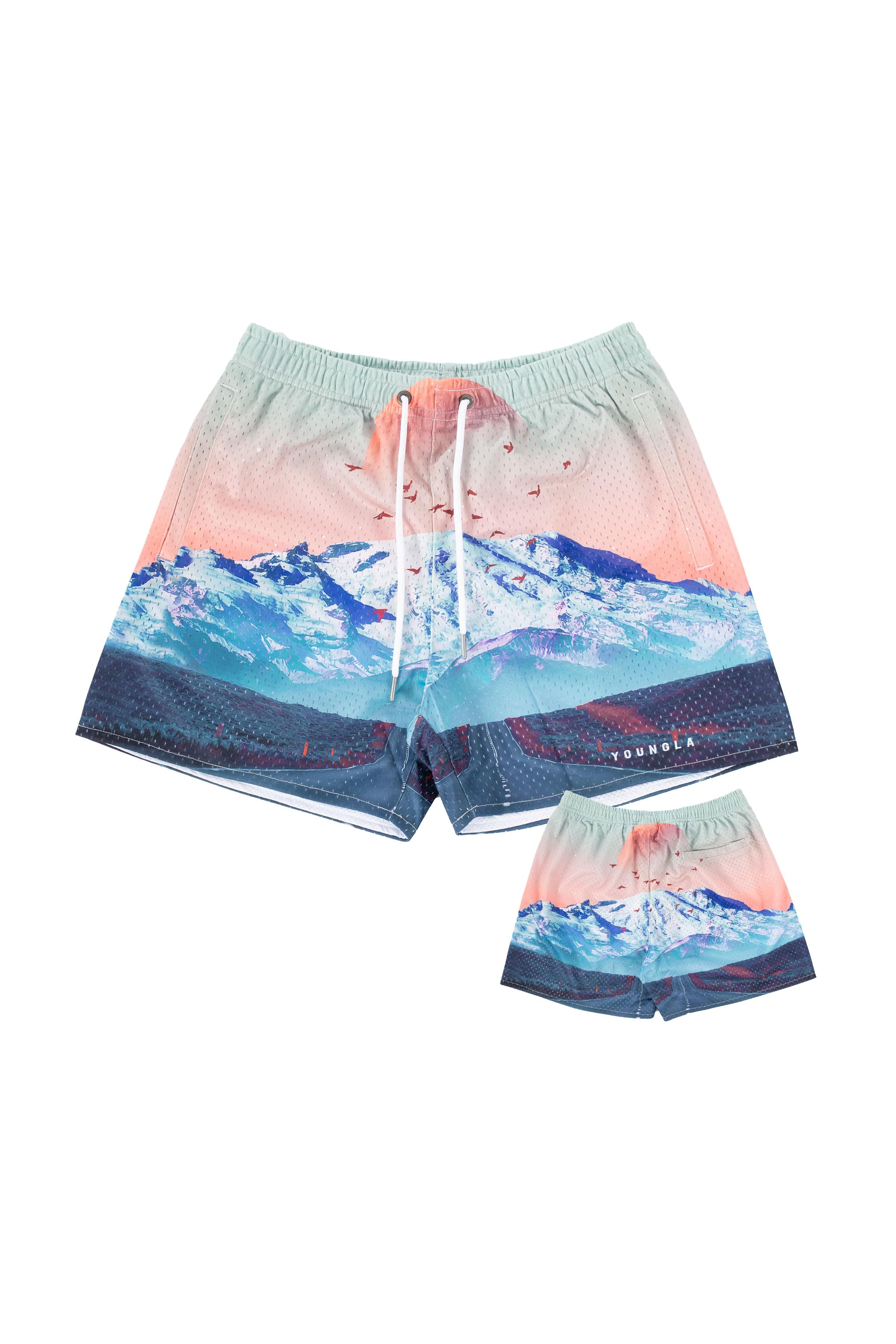 Deals YoungLa Hummingbird Shorts MEDIUM